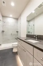 Lower level guest bath of like home