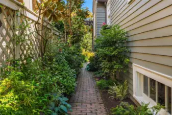 A close up view of the path.  Most side yards are not fit for public consumption!  This little path is the stuff dreams are made of!