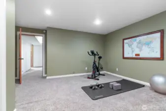 Lower Bedroom #4/ or Bonus Room