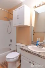 Full bath in the main hallway also has a skylight.
