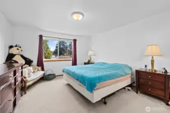 Large primary bedroom (bed photograhed is king-size).