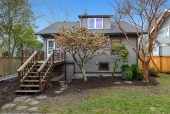 Mature Landscaped Backyard