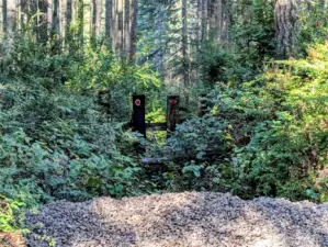 Easement into the property.