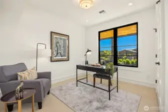 Lower level bedroom #2