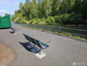 Watch the river wildlife from the little community park