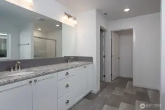 Previously built primary bathroom finish options