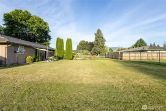 Huge back yard!