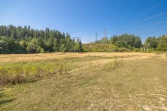 The corner of this field is north of the power lines. The trees on the left of this photo line Squalicum Creek.