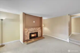 Gas Fireplace insert! Does a great job heating with remote you can adjust blower, etc. Also we added an electrical outlet for your TV.