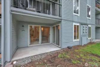 Tree roots and a tree will likely be removed soon by complex.