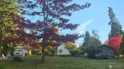 Garage, house, workshop