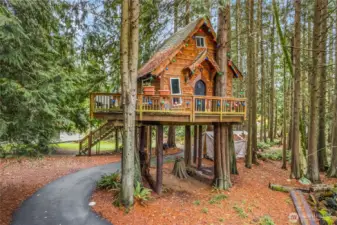 The "tree house" guest cottage