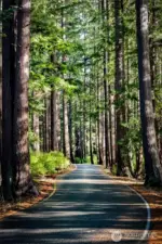 Welcome Home - your daily drive just inside Gate 2