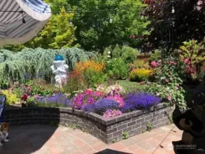 Side court yard in the spring and summer