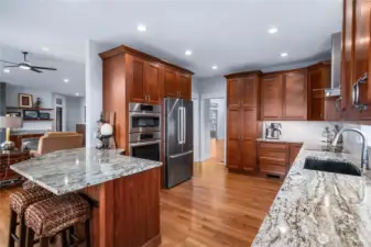 Bosch Appliances & Granite Counters