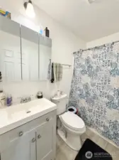 Main Full Bathroom