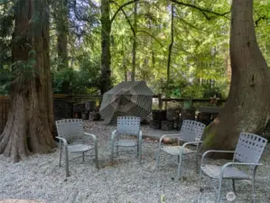 Dog-friendly graveled fenced yard under trees