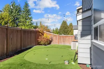 Putting green in turfed backyard.