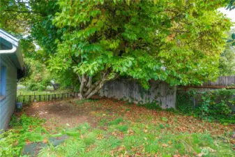 This is the side yard next to the garage