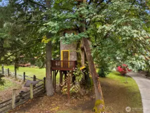Custom two story tree house