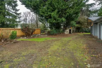 Very spacious backyard