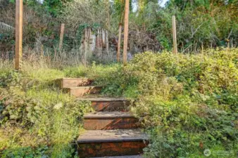 Room for Plants/Garden in Back~