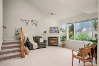 New Grey-Colored Carpet