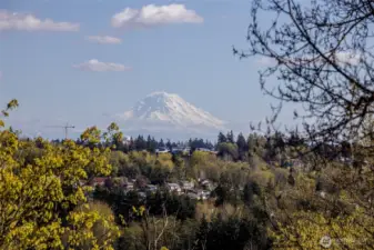 Wow - Mt. Rainier and Puget Sound view from this tucked away gem in Des Moines