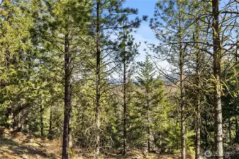 Back of homesite setting