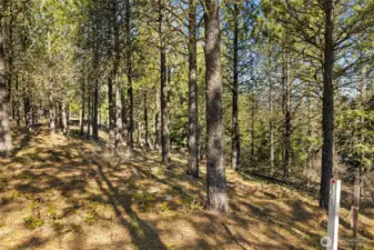 Property corners well identified