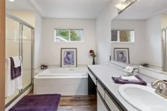 Spacious Primary Bathroom with Jetted soaking Tub!