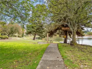 Plenty of nature to enjoy as you take a walk to the lake.