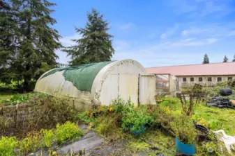 Possible purchase option on high tunnel green house