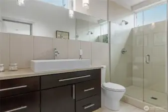 Primary bath with dual head shower.