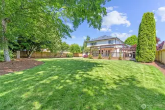Lush Matured Landscaping