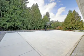 Professional-Grade Sport Court~