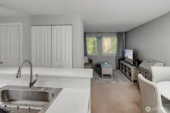 Updated sink, counter (quartz) and new dishwasher in kitchen