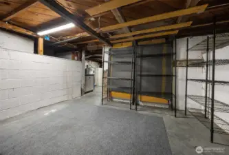 Downstairs unfinished basement has plenty of storage