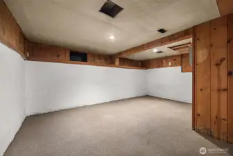 extra space downstairs in the unfinished basement
