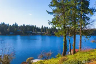 Mature, manicured landscaped lot