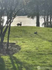 Serene peaceful park like setting