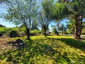 Beautiful grass and picnic area on second lot.