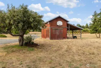 Farm for horses, chickens, you heart's desires!