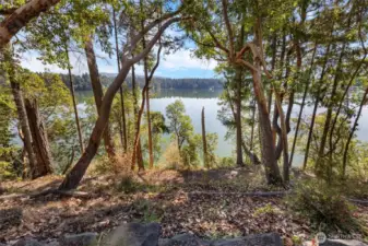 1 of 3 Lakes in Clearwood