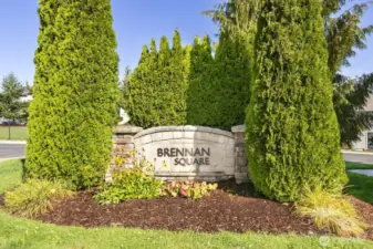 Welcome home to Brennan Square!