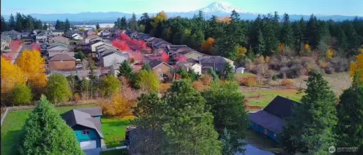 Aerial view of part of the lot.  Zoning allows MSF density.  Buyer to verify.