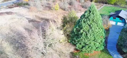Aerial view of part of the wetlands.