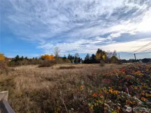 Another view of part of the wetland area.