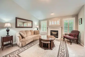 Beautiful living room with gas fireplace