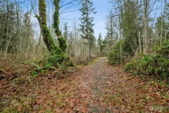 Head down the driveway into the CLEARED building site. There is room there for a 4 bedroom house and a 3 bedroom ADU. You're only 30 minutes from Gig Harbor and 40 minutes from Tacoma, and the drive is beautiful!